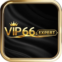 vip66expert