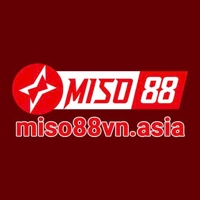 miso88vnasia