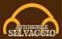 AUTOMOBILE SELVAGGIO