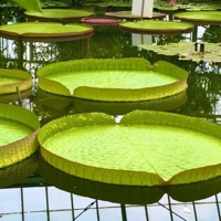 現役SREマネージャーが回答】AWS/インフラ/セキュリティ技術Q&Aサポート-image1