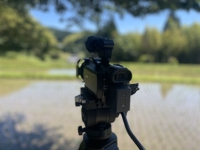 動画・文章のシナリオのお困りごと、相談にのります-image1