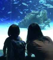 Keiko@子連れPM PM歴10年