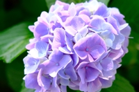 シロ@食品大企業研究職2社経験