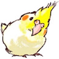 Y T
