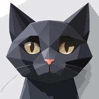 木村＠有限会社経営