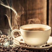 菊池@WEBデザイナー歴18年以上