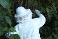 新潟蜂駆除専門店 長岡支店1