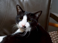 てん。元市役所職員