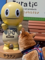 papanda@社内SE20年