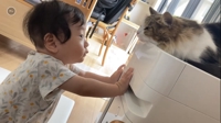 なりまつ