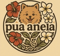 Pua anela