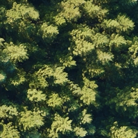 hh__i87