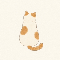 もこち