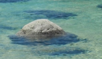 toyo_toyo