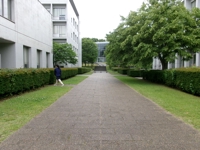 大学受験アドバイザー