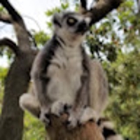 山本征弘