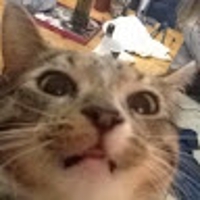 S B