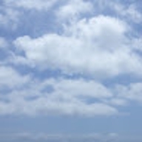 saka0804