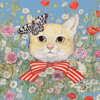 💴ポイ野カツオくん💴