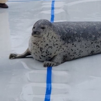 アガオカ@駆け出したい🔰