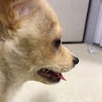 渡辺響