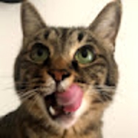 大橋愛美（icchi）