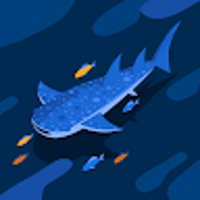 本田拓麻