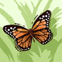 Simriti Solutions1313