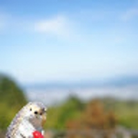 高木誠一郎