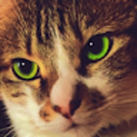 ayako “neg1” emi