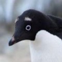 ふとまき