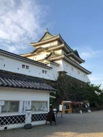 テスト