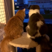 ゆう