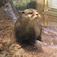 前田茂人