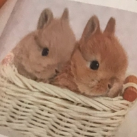 ポリ袋ラッピング