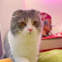 Hikaru Kuroda