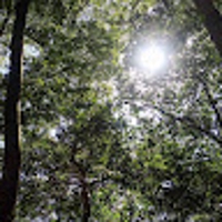 Naoki Yoshinari