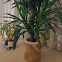 タカジン