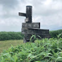 ST