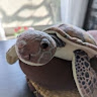 kamedaigfuku