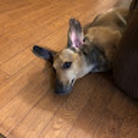 Takaho Takemura (Taka)