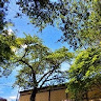 Nanaka “水鳥” Komatsu