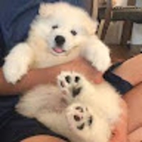 大塚流羽