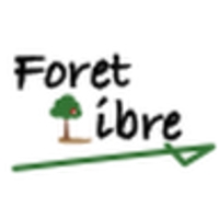 イノウエマミコ