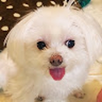 モリモリヒロシ