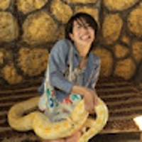 つじまお@システムエンジニア