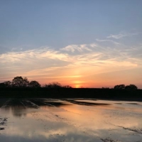 夕焼けソンソン