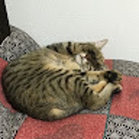 ひろゆき@