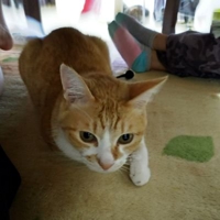 ken@福岡webデザイナー