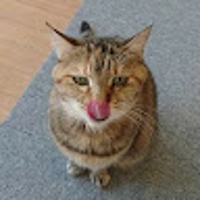 ユウ@ブロックチェーンエンジニア